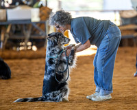 Australian Shepherd Club of Texas Agility Trail, Cleburne, TX