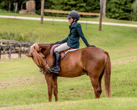 Horse Shows