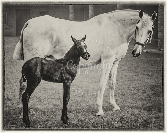 6V9A9269-Edit-Edit-2