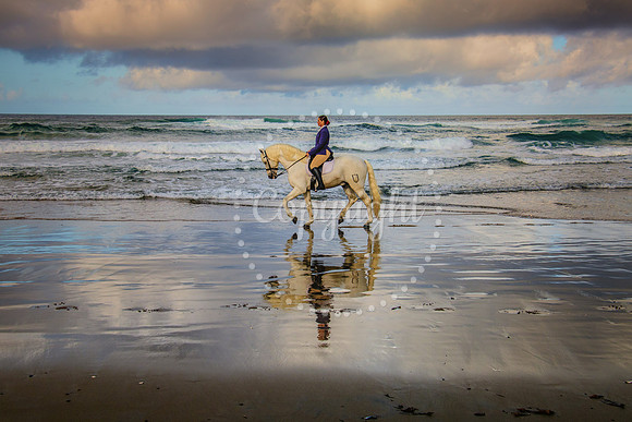 6V9A2590-Edit