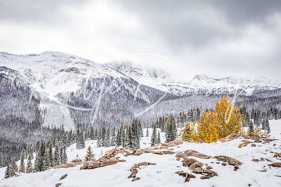 Molas Pass 4