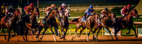 6V9A1592-Edit-Edit