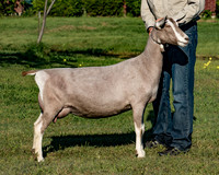 6V9A2633