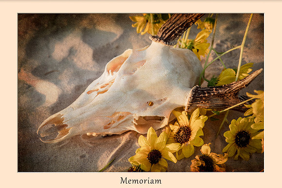 Memoriam