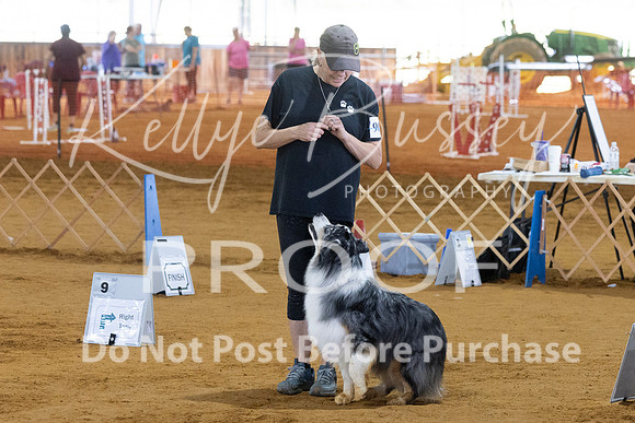 KBP_4703