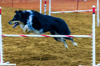 KBP_0178