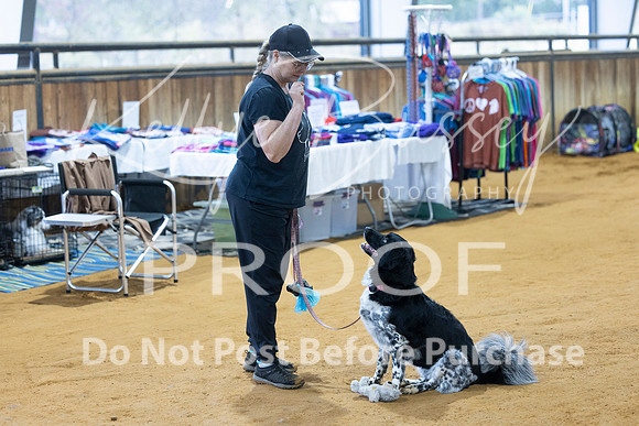KBP_4249
