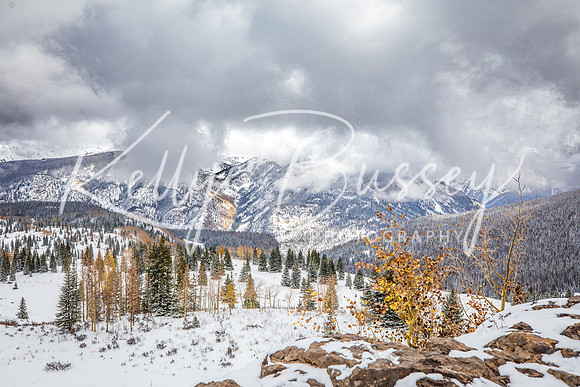Molas Pass 3